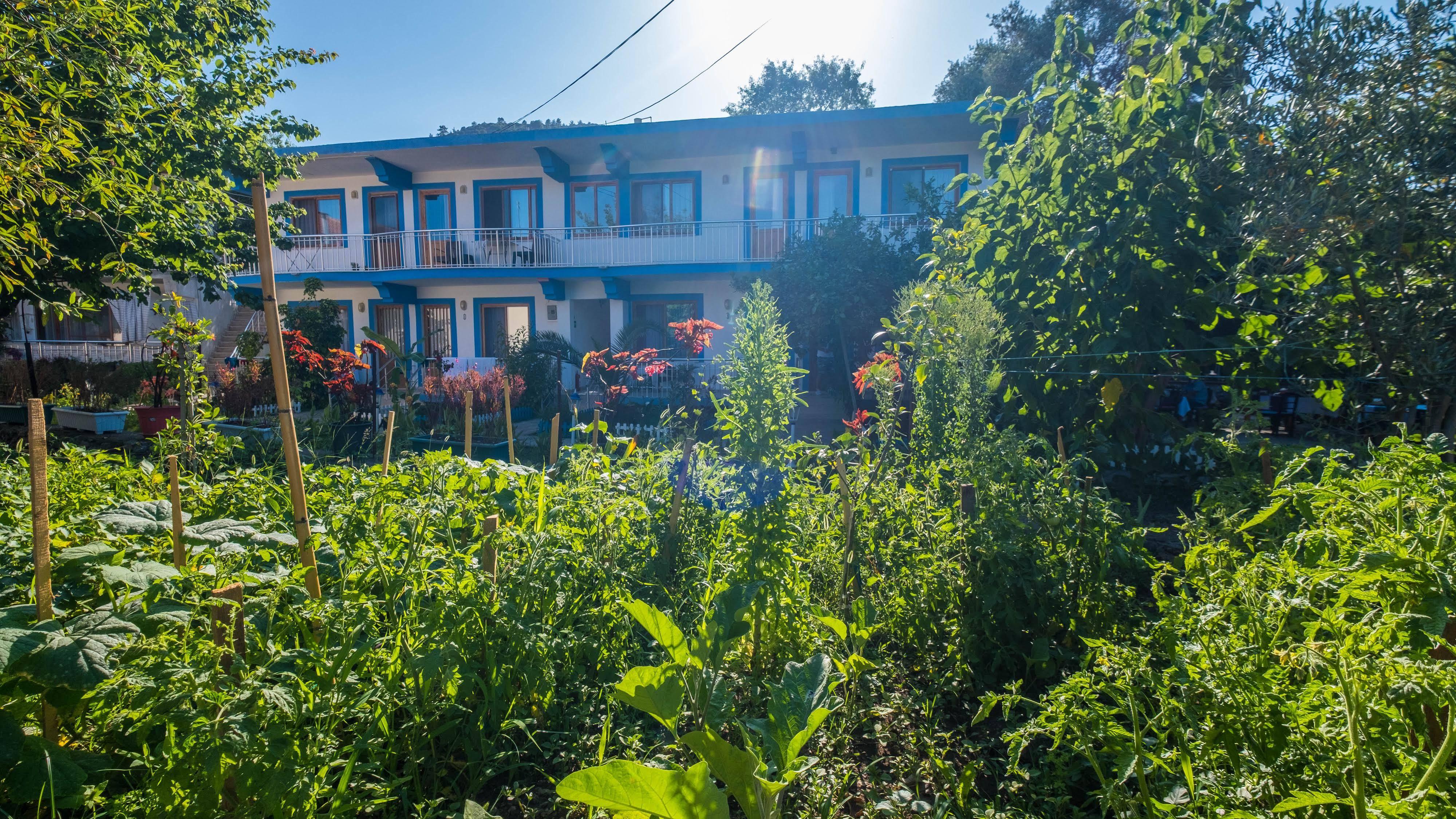 Balalayka Butik Otel Muğla Exteriör bild